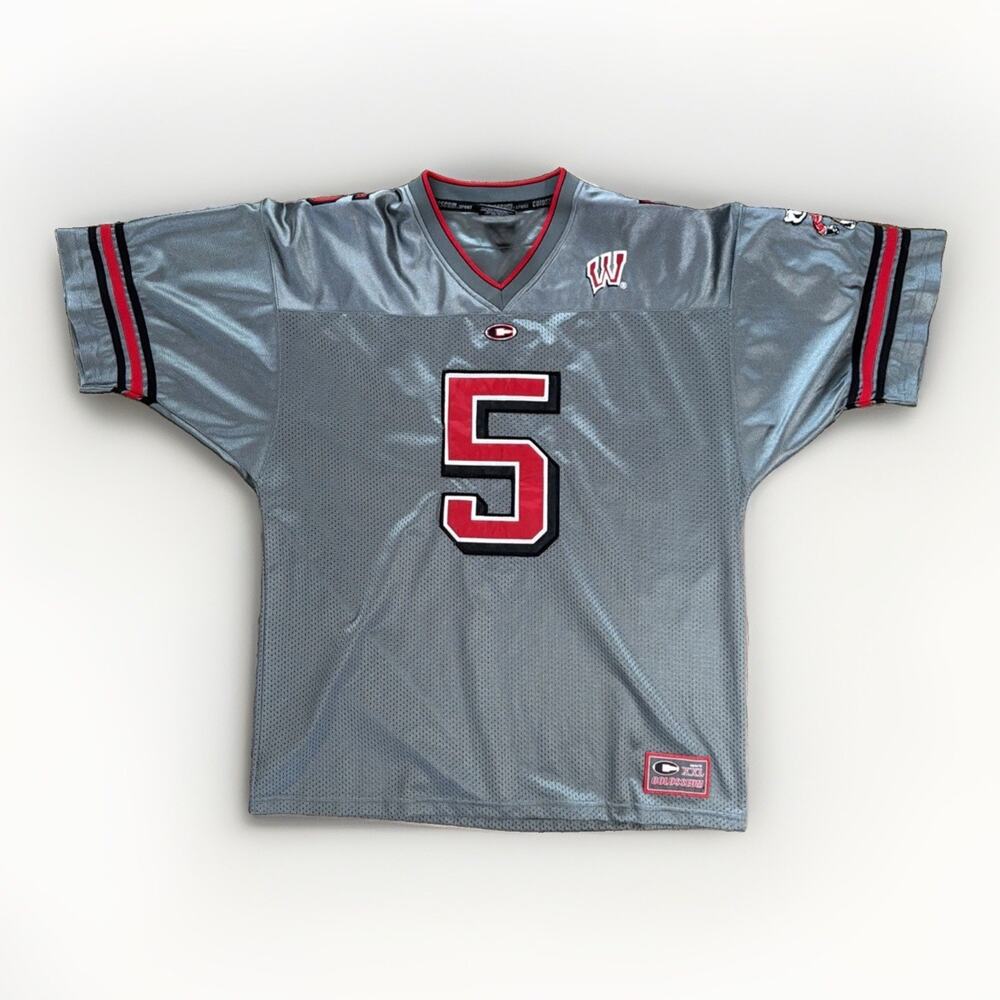Vintage Y2K Wisconsin Badgers #5 Jersey Sz L Colosseum Bucky NCAA Football Gray